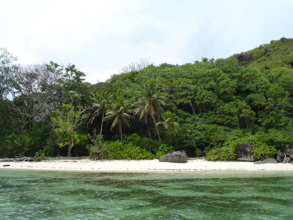 Природа острова Серф, Сейшелы. Фото 2 – фотографии Сейшельских островов