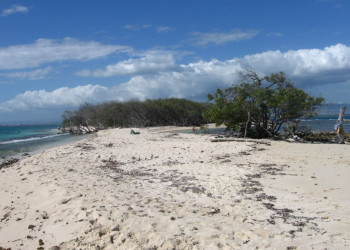 Пляж на Ямайке. Фото 7 – фотографии Ямайки