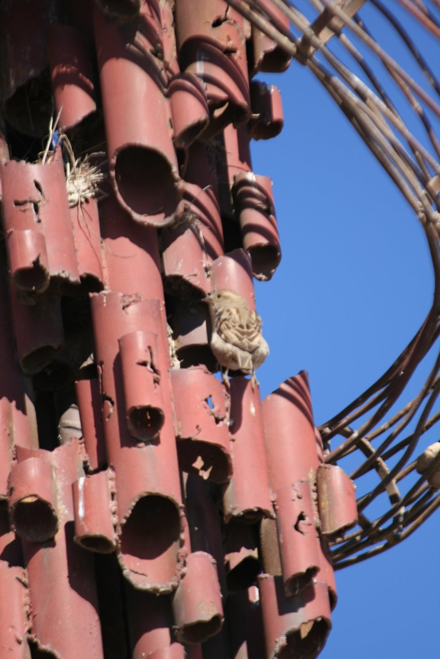 Гора Небо, Иордания, фото № 36611 – фотографии Иордании