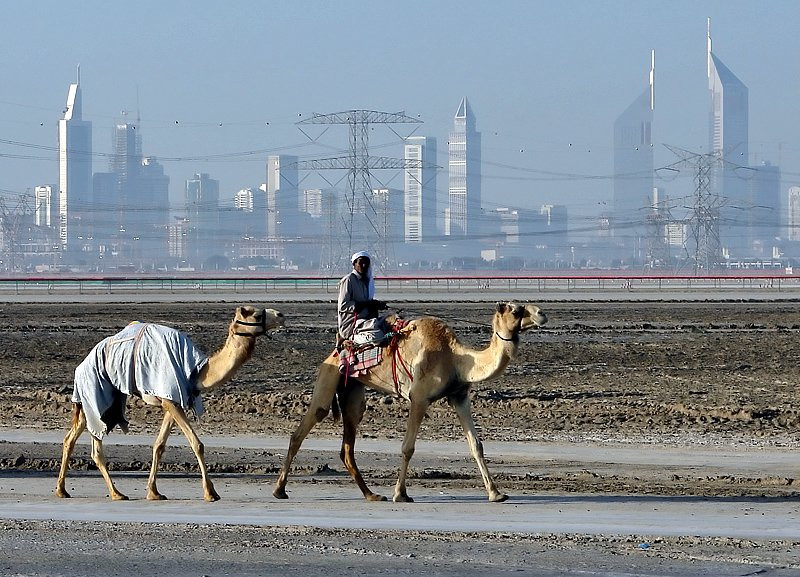 Дубай, ОАЭ, фото № 60834 – фотографии ОАЭ