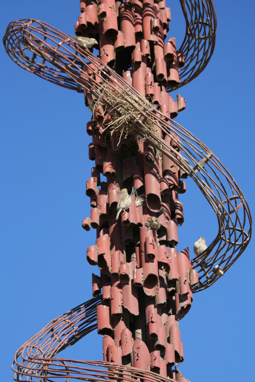 Гора Небо, Иордания, фото № 36612 – фотографии Иордании