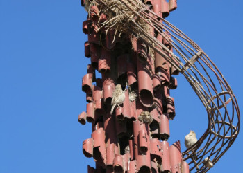 Гора Небо, Иордания, фото № 36612 – фотографии Иордании