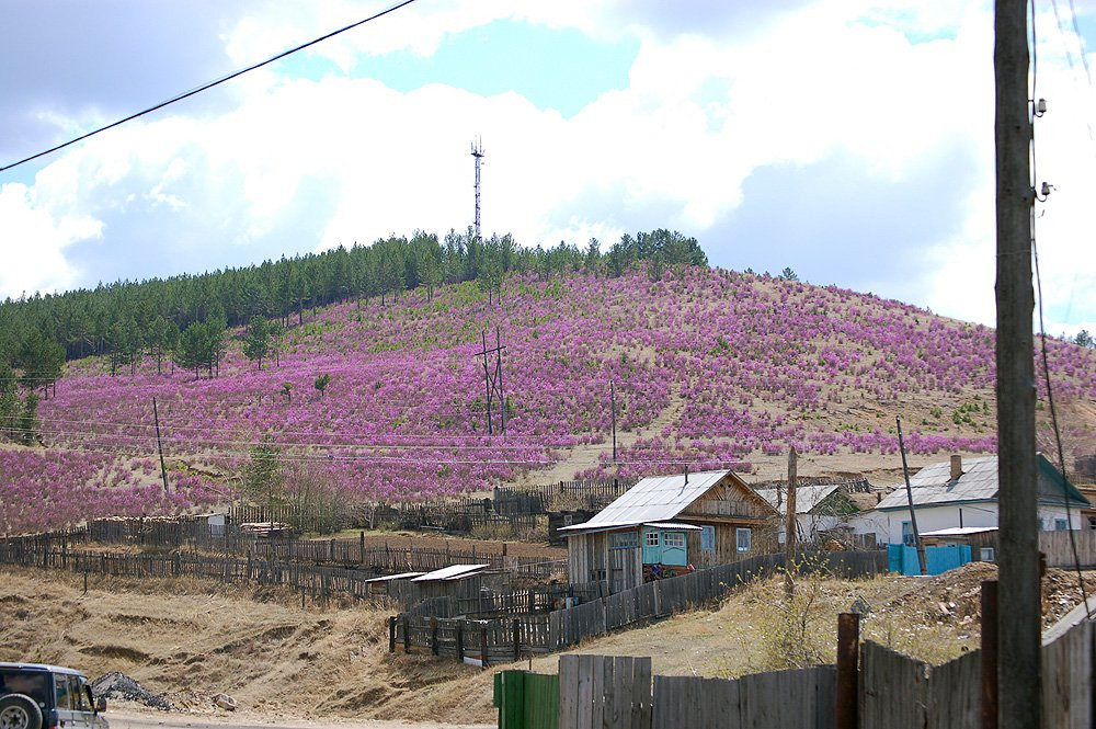 Деревня в Дарасун, Россия – фотографии России
