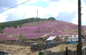 Деревня в Дарасун, Россия – фотографии России