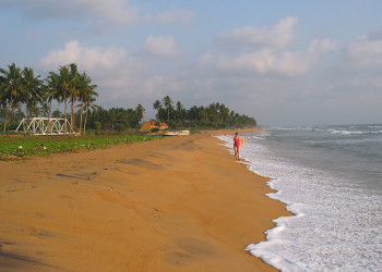 Ваддува, Шри-Ланка, фото № 50807 – фотографии Шри-Ланки