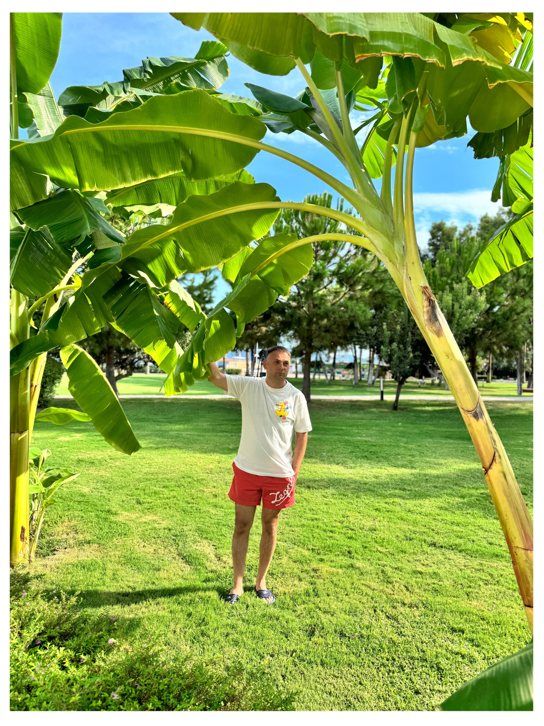 selfie – фотографии