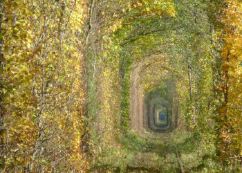 Тоннель любви (Tunnel of Love), посёлок Клевань, Ровно, Украина – фотографии Украины