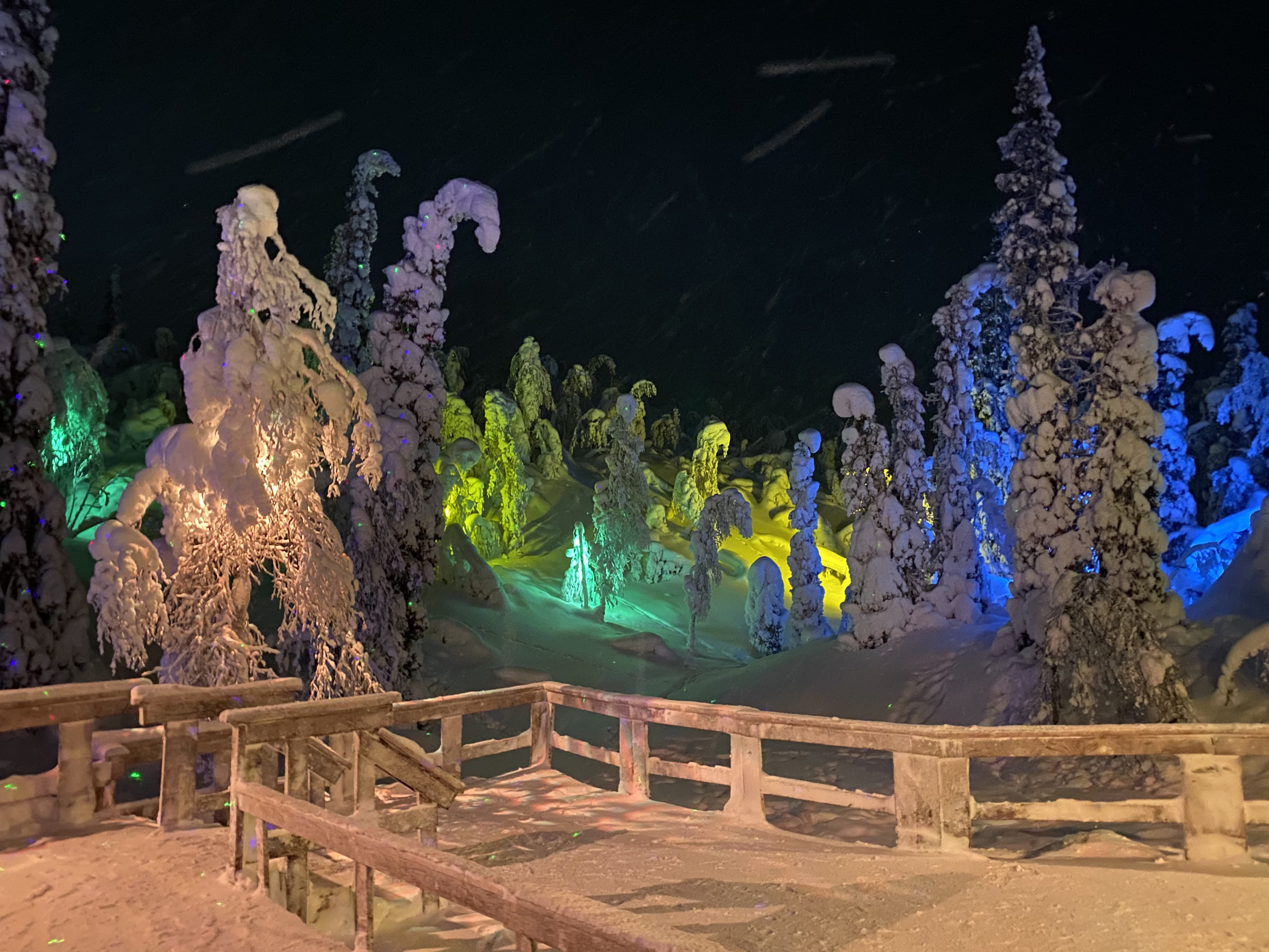 Ночной парк «Таинственный лес», Кировск, Мурманская область – фотографии России