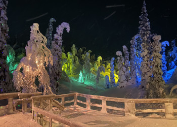 Ночной парк «Таинственный лес», Кировск, Мурманская область – фотографии России