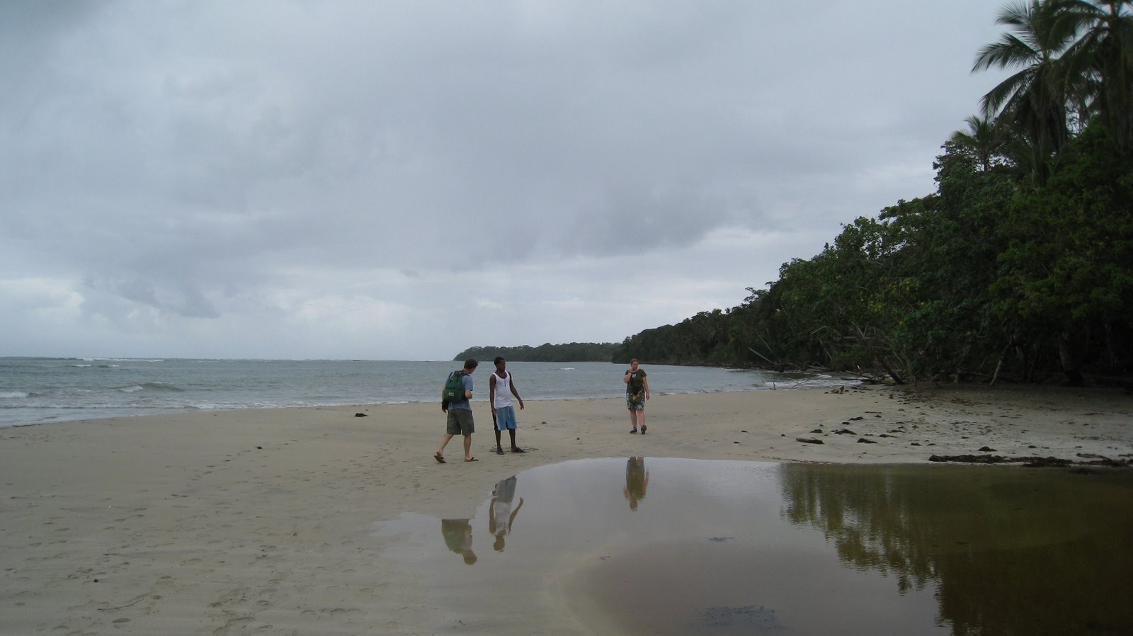 Кауита Национальный Парк, Лимон провинция, Коста-Рика, фото № 40104 – фотографии Коста-Рики