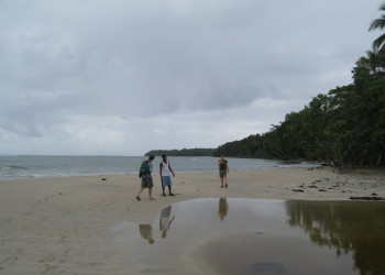 Кауита Национальный Парк, Лимон провинция, Коста-Рика, фото № 40104 – фотографии Коста-Рики