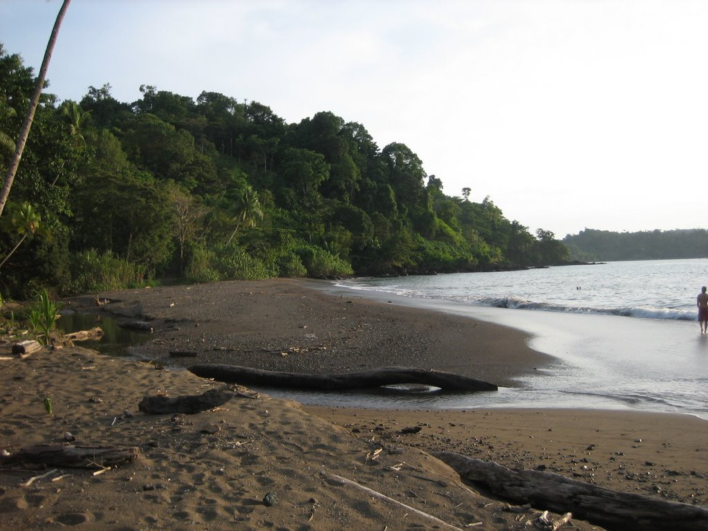 Дрейк Бэй, Пунтаренас провинция, Коста-Рика, фото № 40487 – фотографии Коста-Рики