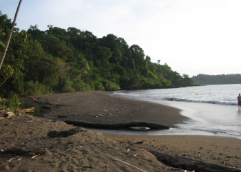 Дрейк Бэй, Пунтаренас провинция, Коста-Рика, фото № 40487 – фотографии Коста-Рики