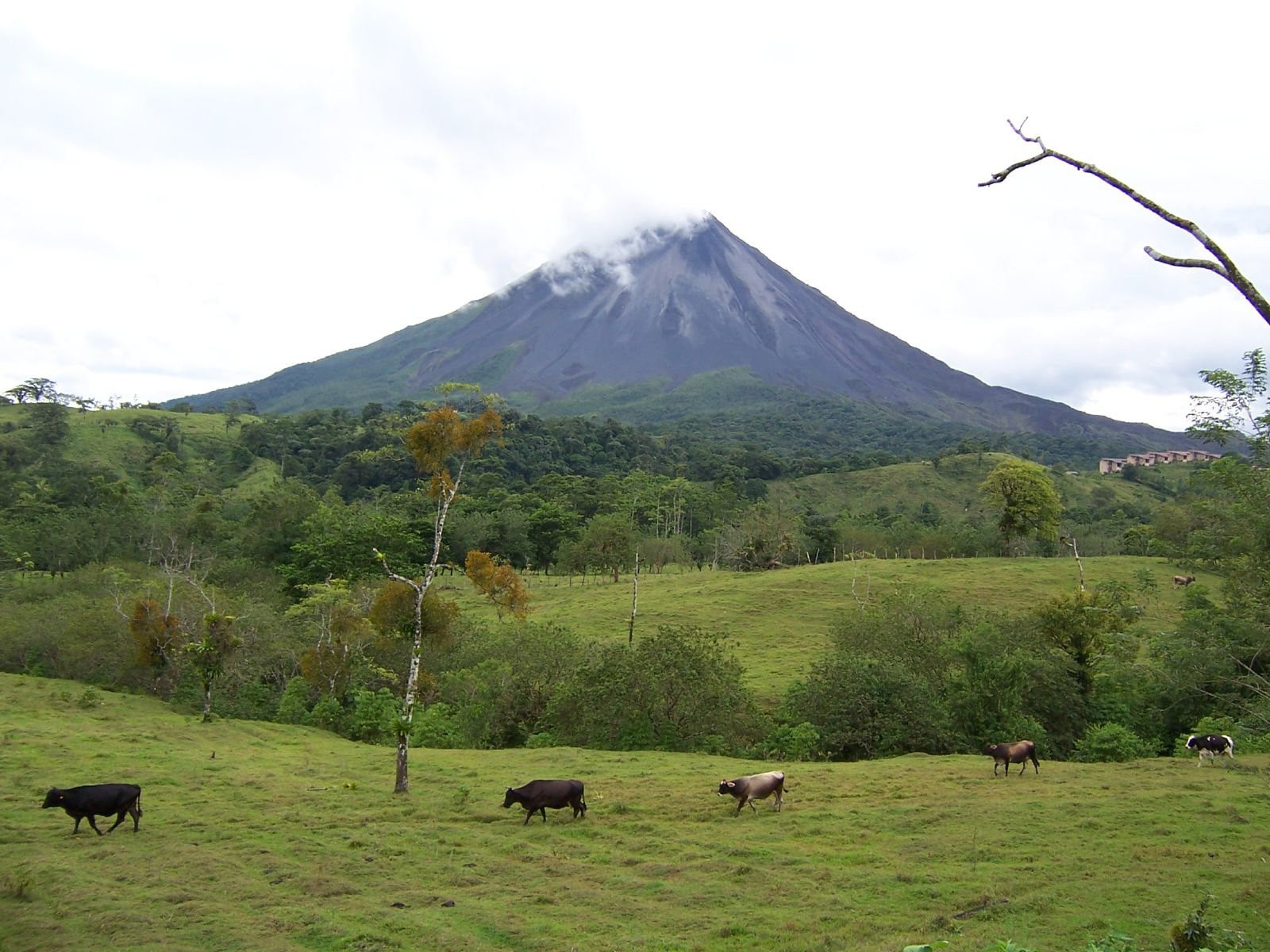 Ареналь Вулкано Национальный Парк, Алахуэла провинция, Коста-Рика, фото № 38910 – фотографии Коста-Рики