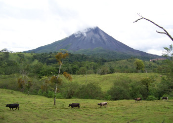 Ареналь Вулкано Национальный Парк, Алахуэла провинция, Коста-Рика, фото № 38910 – фотографии Коста-Рики