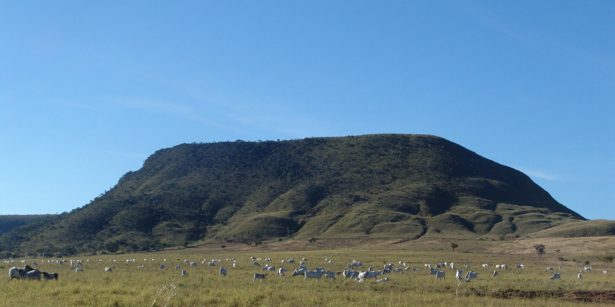 Шапада-дус-Веадейрус Национальный Парк, Бразилия, фото № 60559 – фотографии Бразилии