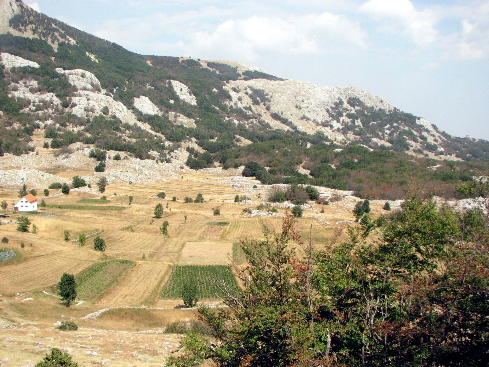 Поле Национального парка, Черногория – фотографии Черногории