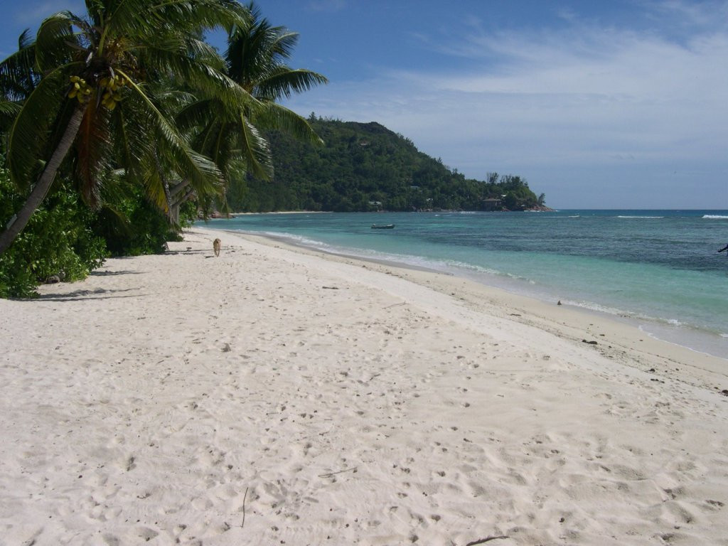 Остров Праслин, Сейшелы. Фото 35 – фотографии Сейшельских островов