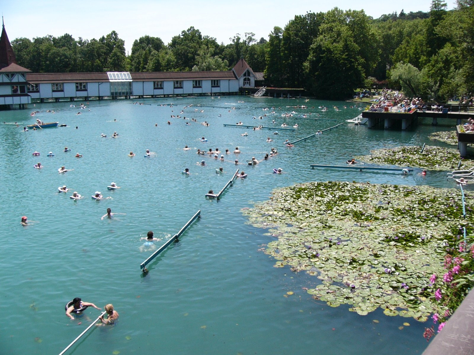 Озеро Хевиз – фотографии Венгрии