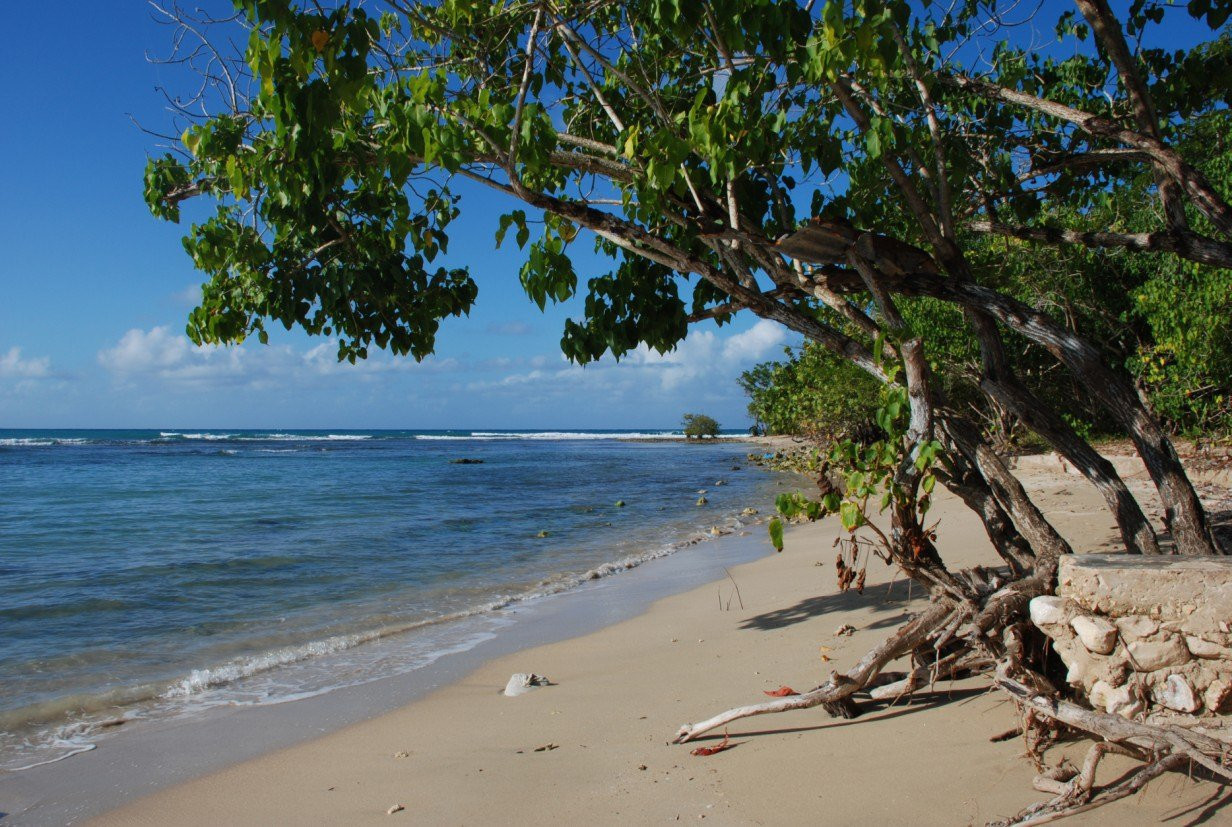 Пляж в Ранэвэй Бэй, Ямайка. Фото 15 – фотографии Ямайки