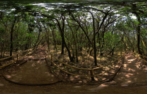 Гарахонай Национальный парк, Ла-Гомера остров, Канарские острова, фото № 60608 – фотографии Канарских островов