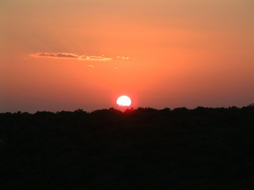 Яла Национальный Парк, Шри-Ланка, фото № 52685 – фотографии Шри-Ланки