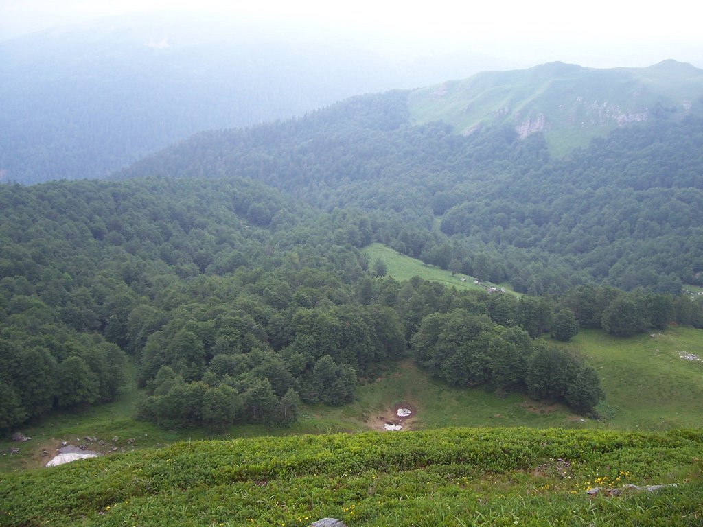 Природа Национального парка, Черногория. Фото 19 – фотографии Черногории