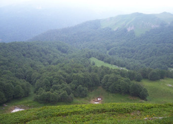 Природа Национального парка, Черногория. Фото 19 – фотографии Черногории