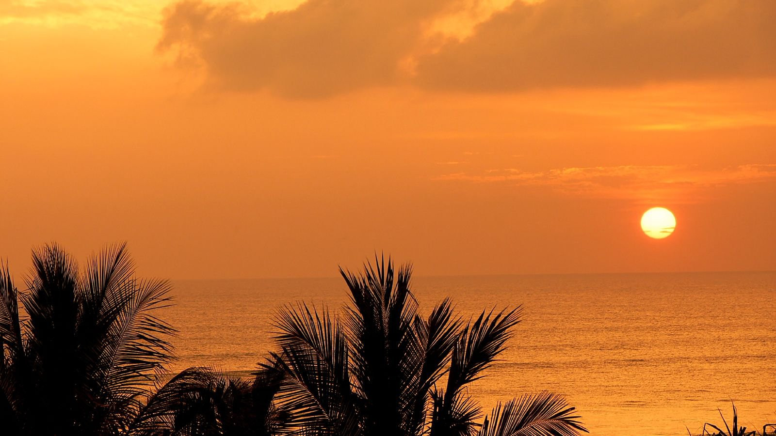 Ваддува, Шри-Ланка, фото № 50804 – фотографии Шри-Ланки