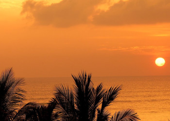 Ваддува, Шри-Ланка, фото № 50804 – фотографии Шри-Ланки