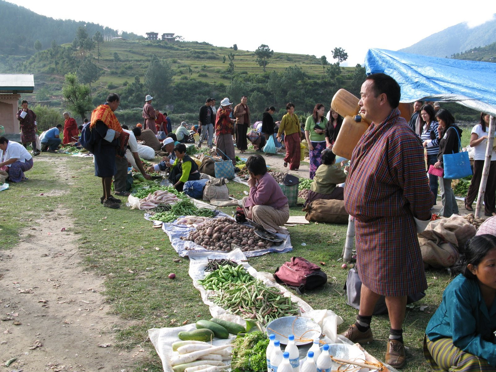 Пунакха, Бутан, фото № 75800 – фотографии Бутана