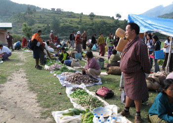 Пунакха, Бутан, фото № 75800 – фотографии Бутана