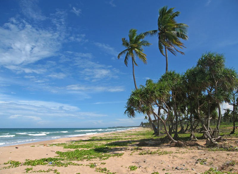 Тринкомали, Шри-Ланка, фото № 52401 – фотографии Шри-Ланки