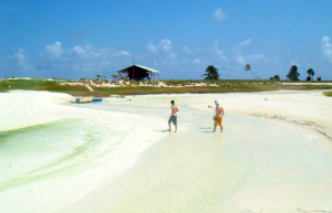 Пляж в бразильском атолле Рокас (Atol das Rocas) – фотографии Бразилии