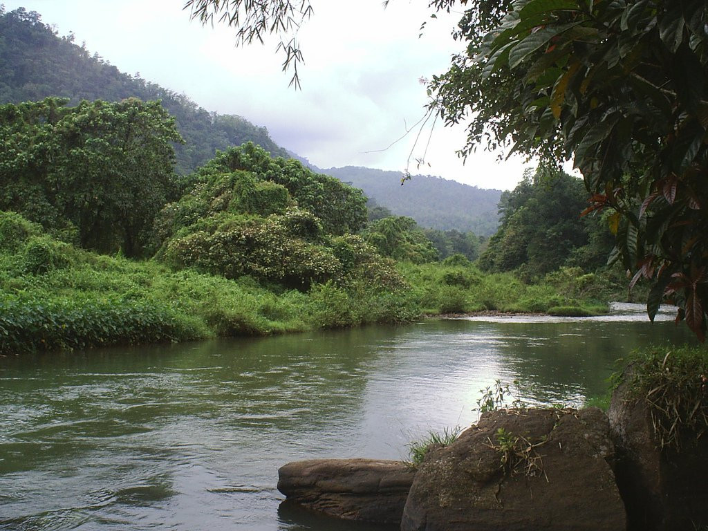 Китулгала, Шри-Ланка, фото № 51492 – фотографии Шри-Ланки