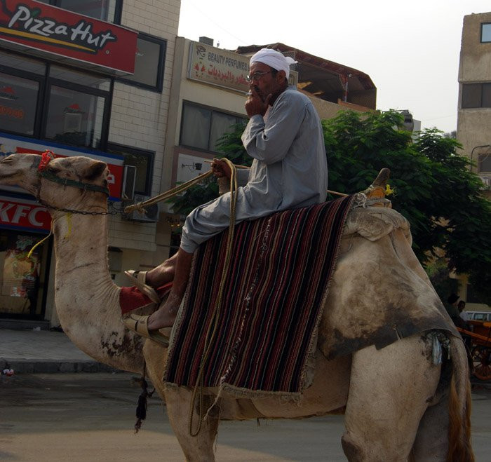 Каир, Египет, фото № 35112 – фотографии Египта