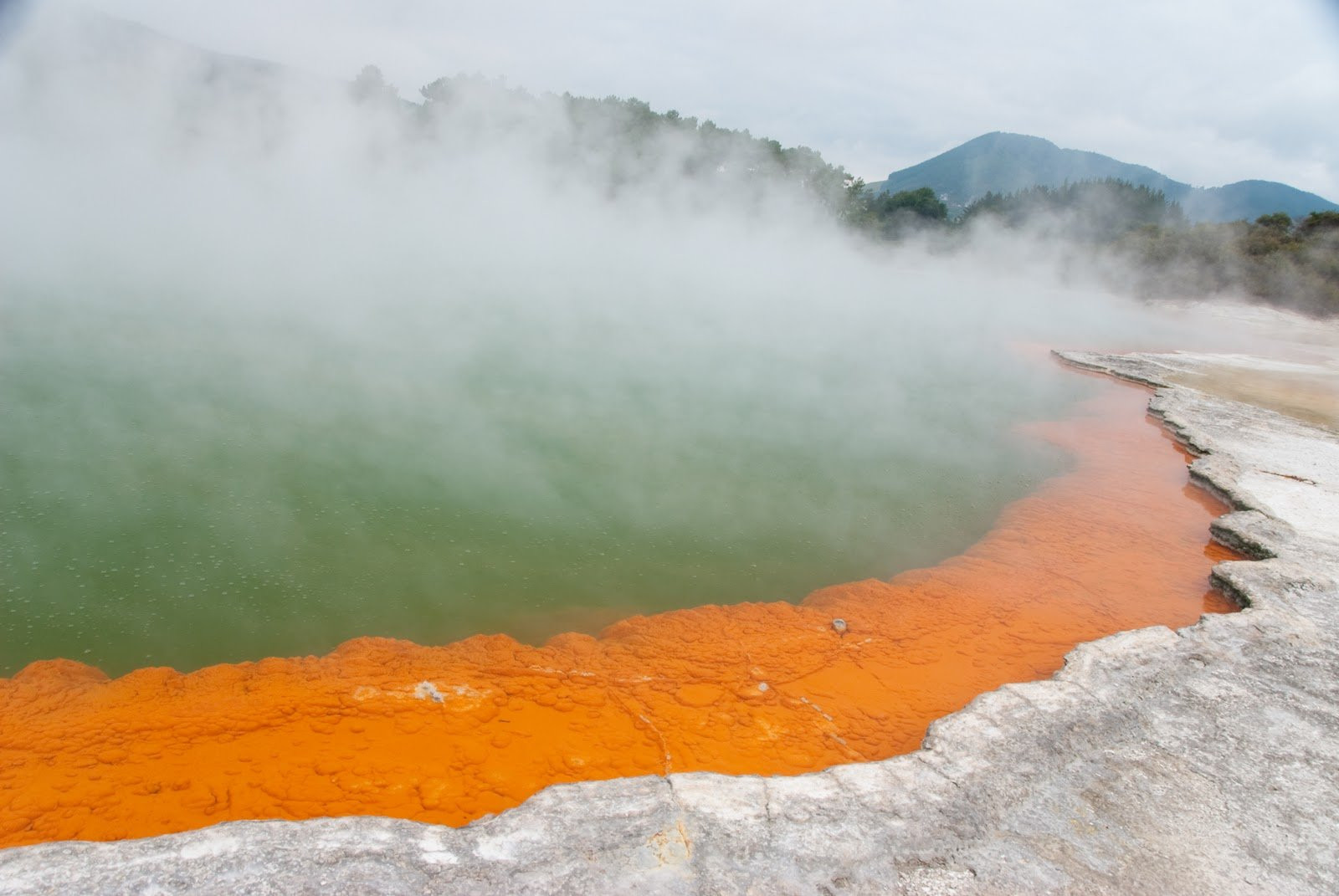 Северный остров, Новая Зеландия, фото № 74254 – фотографии Новой Зеландии