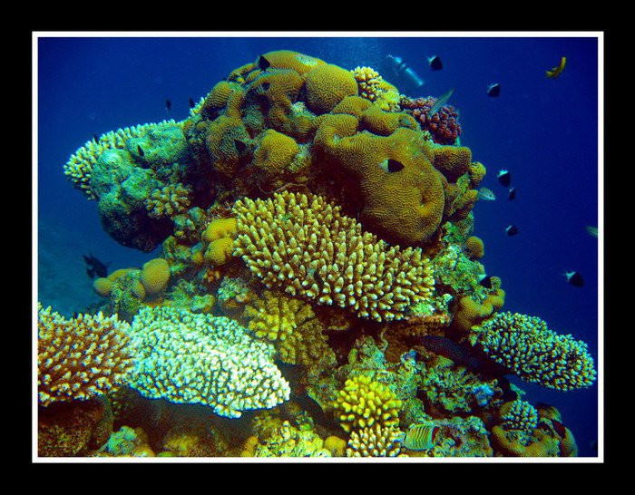 Хургада, Египет, фото № 35539 – фотографии Египта