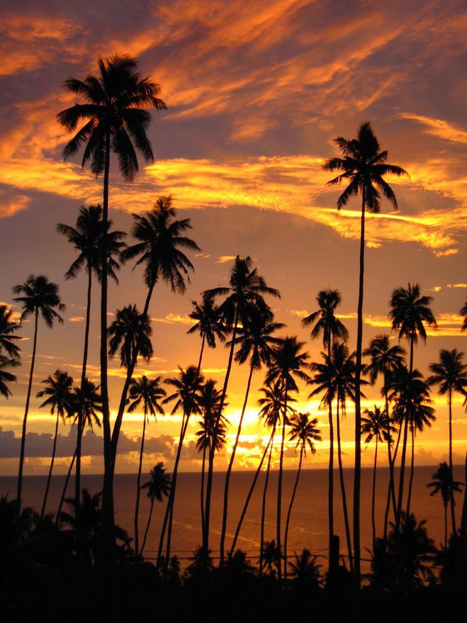 Вануа Леву группа островов, Фиджи, фото № 49361 – фотографии Фиджи