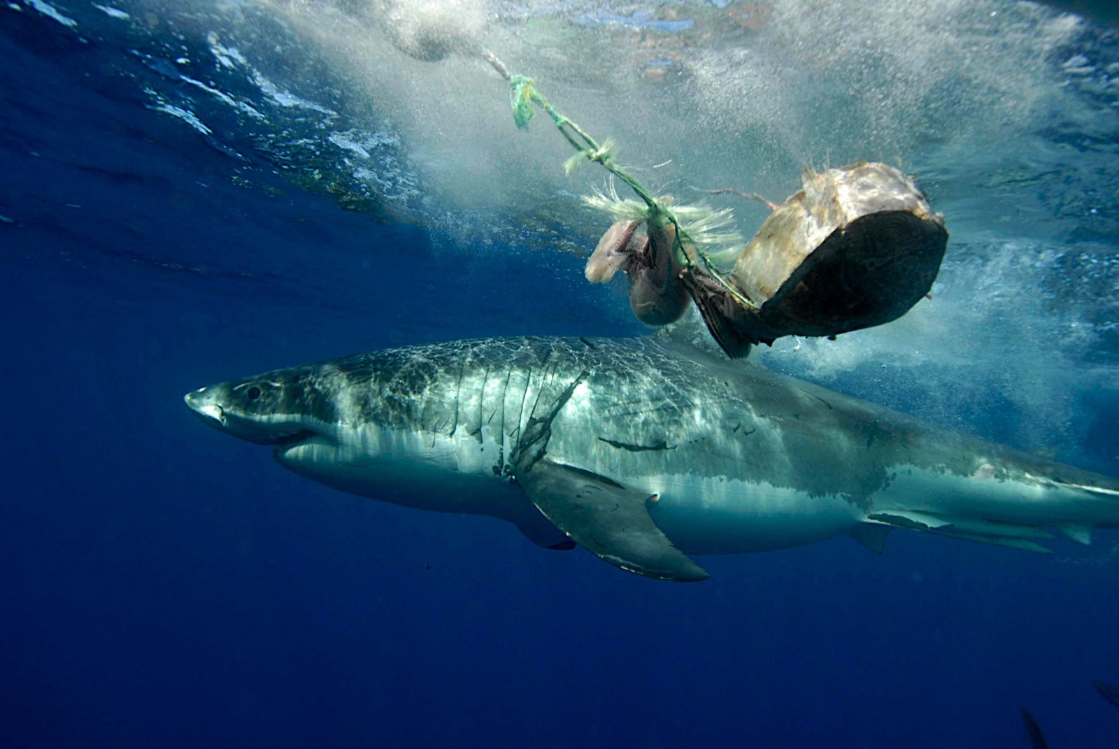 Australia – фотографии Австралии