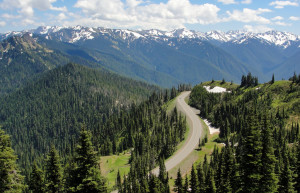 Олимпик Национальный Парк. Фото 8 – фотографии США