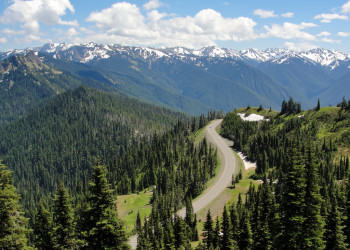 Олимпик Национальный Парк. Фото 8 – фотографии США