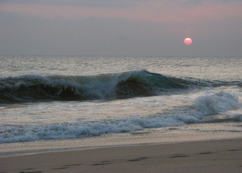 Коггала, Шри-Ланка, фото № 51587 – фотографии Шри-Ланки