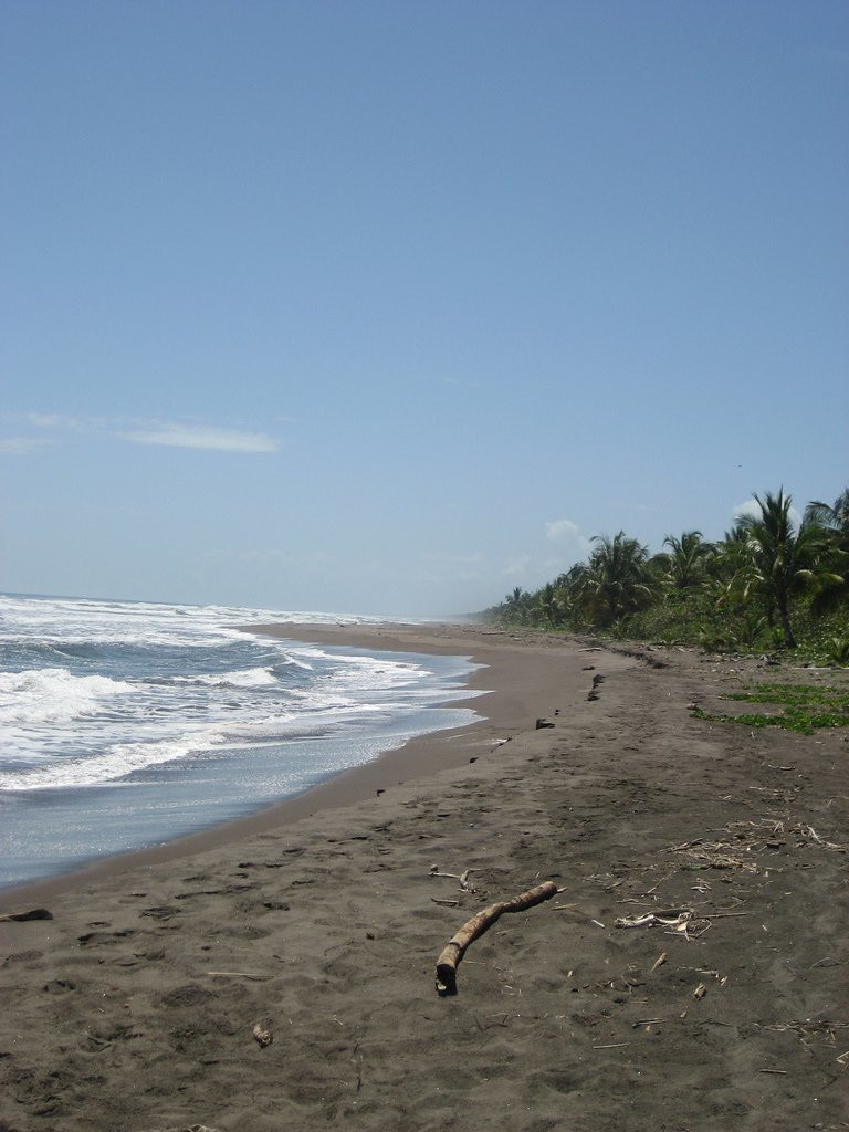 Тортугеро Национальный парк, Лимон провинция, Коста-Рика, фото № 40351 – фотографии Коста-Рики