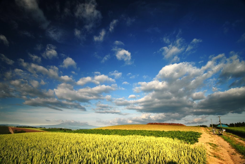 Хоккайдо остров, Хоккайдо регион, Япония, фото № 72722 – фотографии Японии