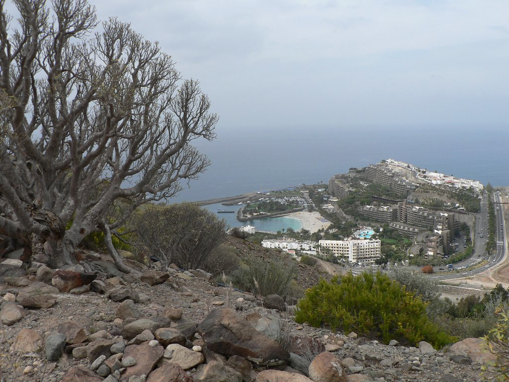 Анфи-дель-Мар, Гран-Канария остров, Канарские острова, фото № 30890 – фотографии Канарских островов