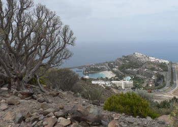 Анфи-дель-Мар, Гран-Канария остров, Канарские острова, фото № 30890 – фотографии Канарских островов