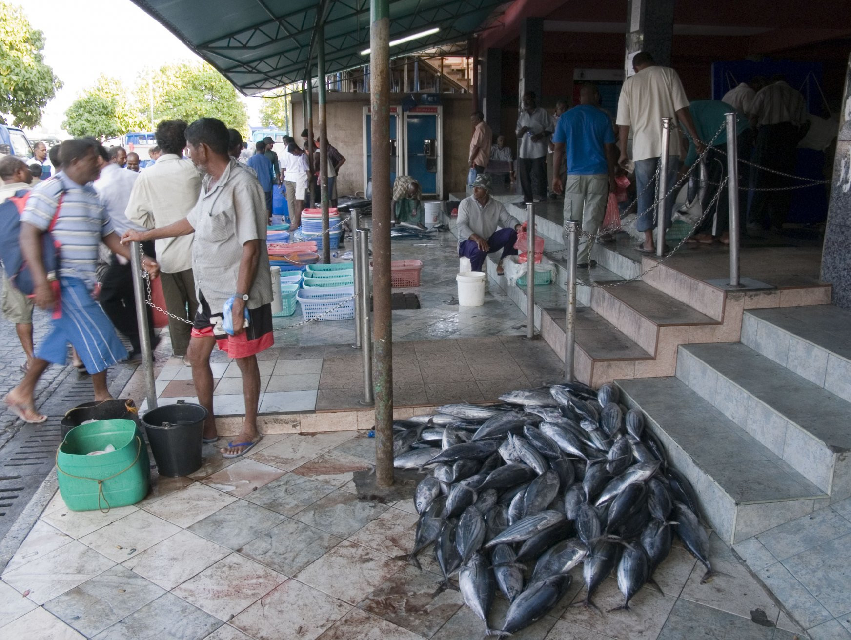 Рынок в Северный Мале Атолл, Мальдивы – фотографии Мальдивских островов