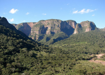 Национальный парк Амборо (Amboro National Park) в Боливии – фотографии Боливии