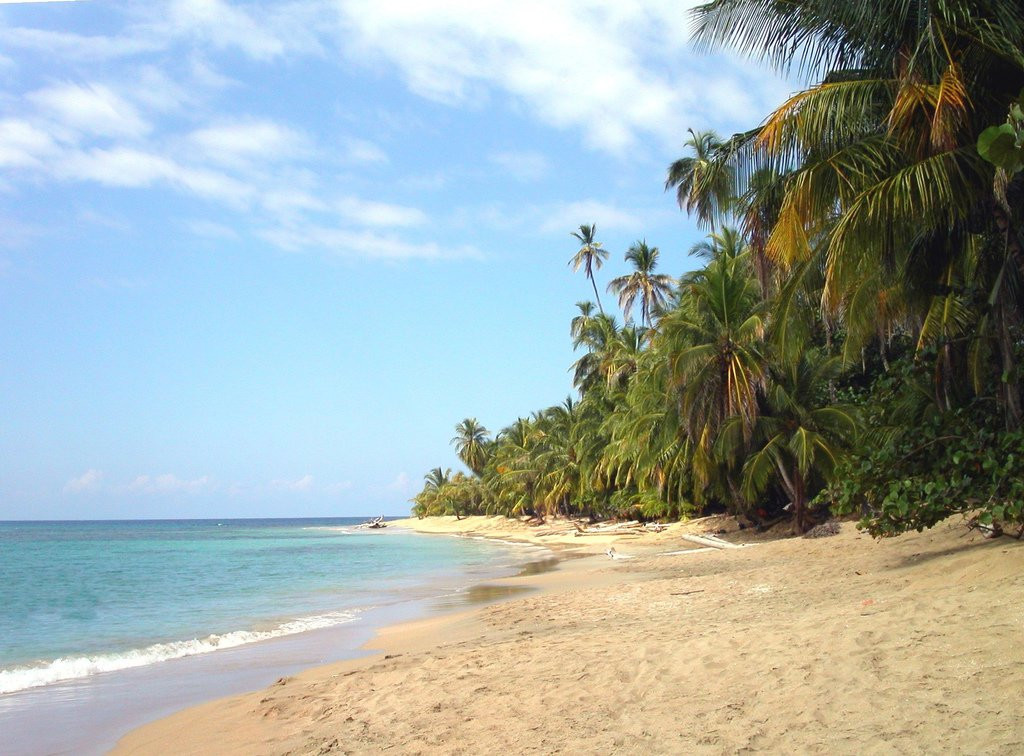 Пуэрто Вьехо, Лимон провинция, Коста-Рика, фото № 40180 – фотографии Коста-Рики